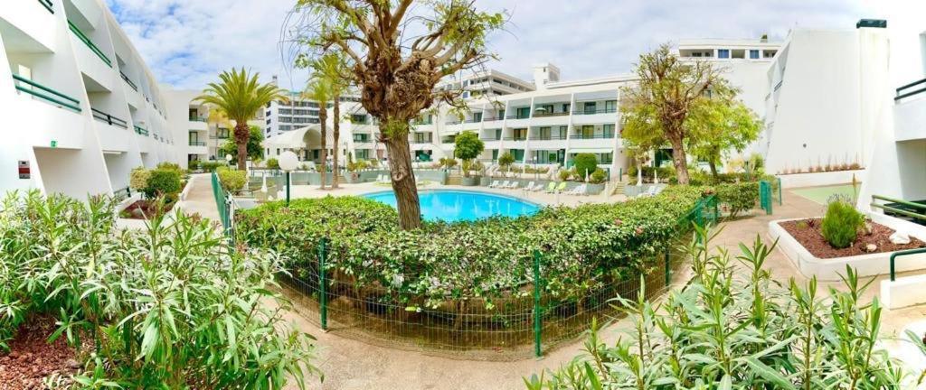 Apartmán Optimist Playa De Las Americas Exteriér fotografie
